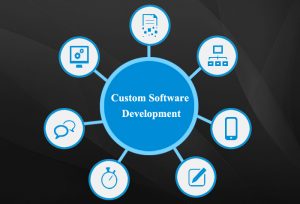 Business Advantages of Custom Software Development